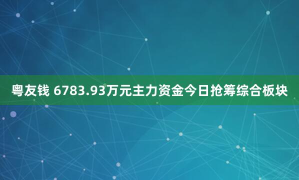 粤友钱 6783.93万元主力资金今日抢筹综合板块