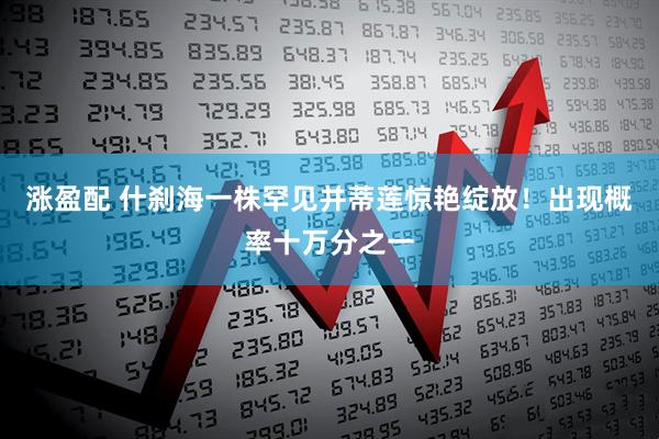 涨盈配 什刹海一株罕见并蒂莲惊艳绽放！出现概率十万分之一