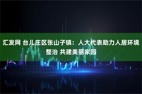 汇发网 台儿庄区张山子镇：人大代表助力人居环境整治 共建美丽家园