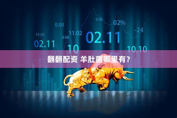 翻翻配资 羊肚菌哪里有？