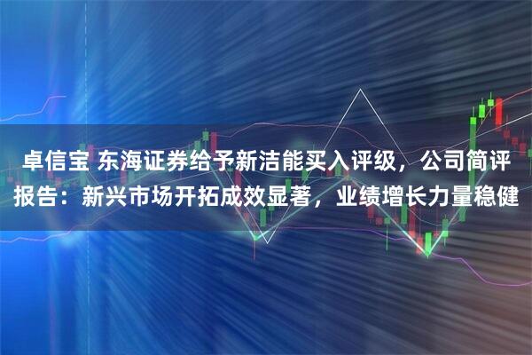 卓信宝 东海证券给予新洁能买入评级，公司简评报告：新兴市场开拓成效显著，业绩增长力量稳健