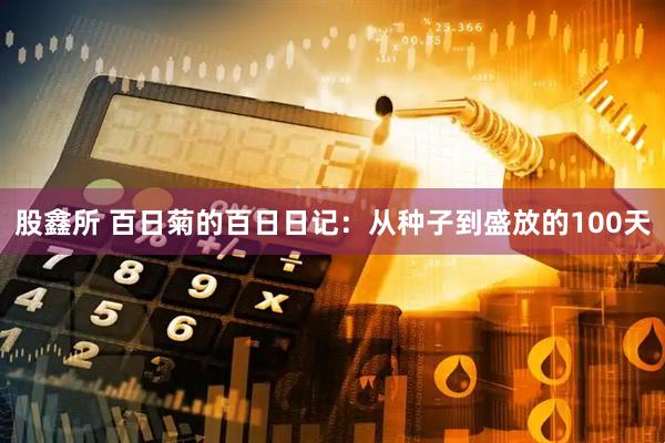 股鑫所 百日菊的百日日记：从种子到盛放的100天